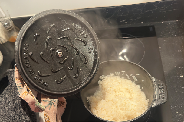 Best rice maker indyBest review Staub La Cocotte